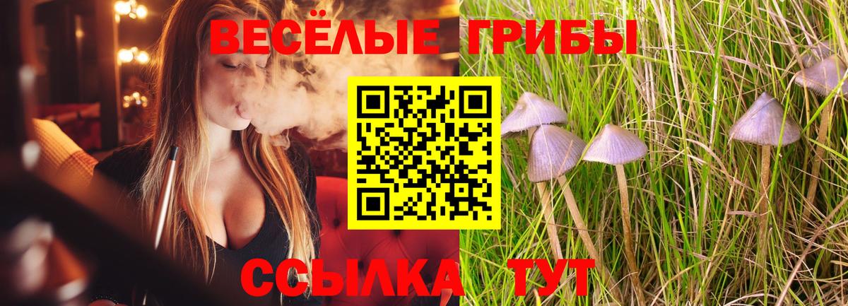 Псилоцибиновые грибы GOLDEN TEACHER Домодедово