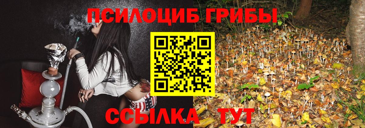 Псилоцибиновые грибы GOLDEN TEACHER  Вход с VPN  Домодедово 